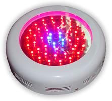 LED Grow Light (P6-I090-A11)