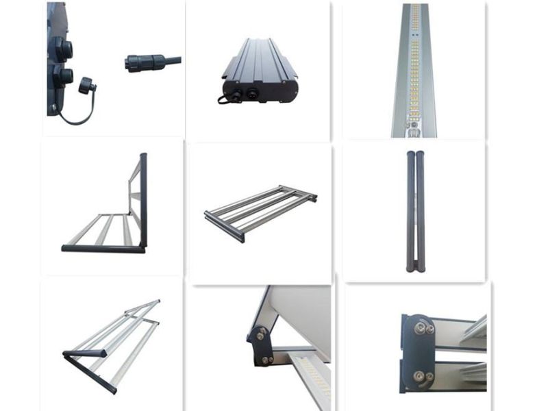 Beautiful Designing High Efficacy Full Spectrum LED Grow Light (G600 630W 2.7umol/J) for Indoors Growing