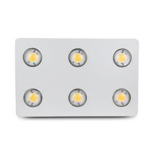 Professional 3500K Warm White 600W Full Spectrum COB Growing LED Light for Flowering