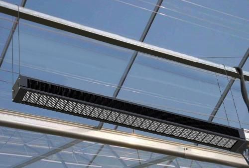 LED Plant Grow Light Used for Greenhouse