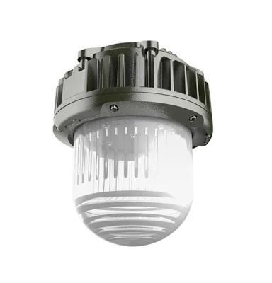 Atex Hanging Ceiling-Mounted Pendant Explosion Proof Area Light for Hazardous Area