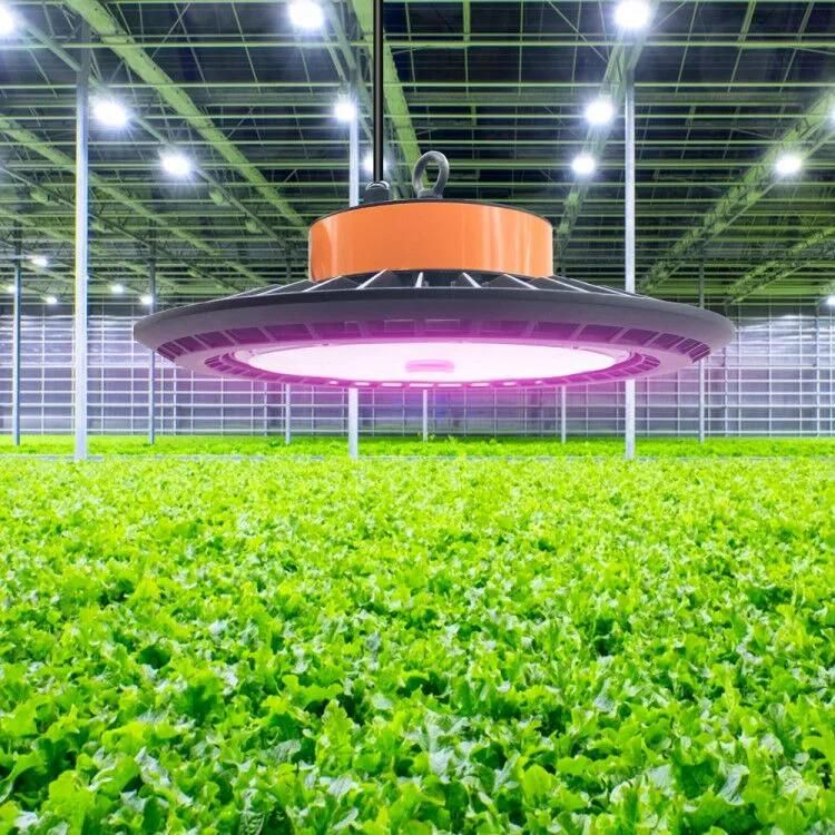 250W Horticutural Lamp Full Spectrum UFO Grow Lamp Commercial Grow Lights for Hydroponics