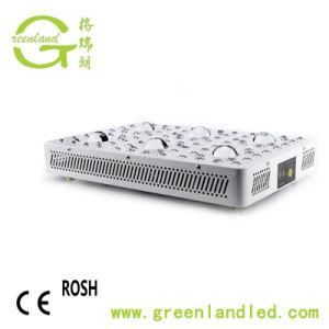 USA Market Full Spectrum Hydroponic 600W 1000W 1200W 5W COB LED Grow Light Wholesales