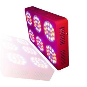 300W LED Grow Light for Plant Flowering and Fruiting, 2014 Newest Hot Selling