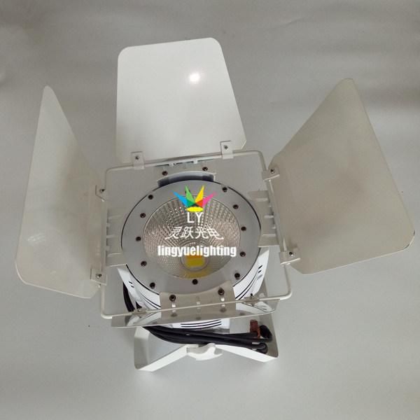 RGB 3in1 Indoor Stage 100W COB LED PAR Light