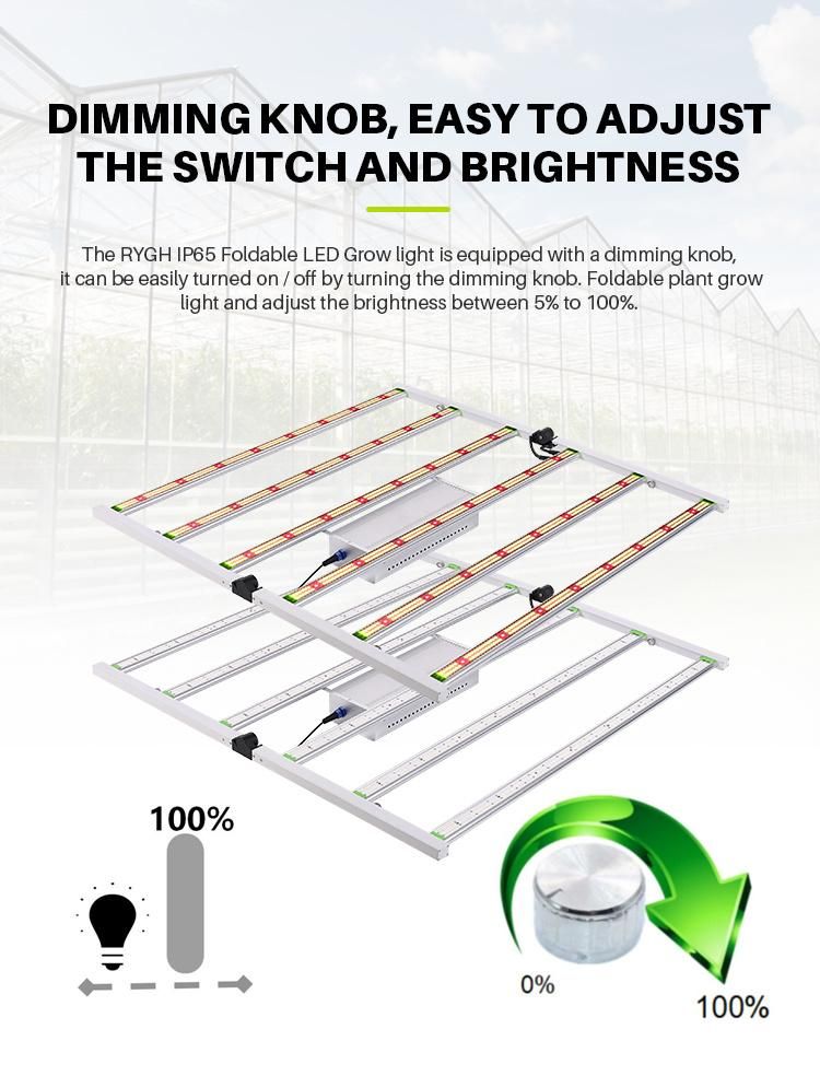 High Ppfd Big Chip Diodes Full Spectrum 6 Bars 600W LED Grow Light