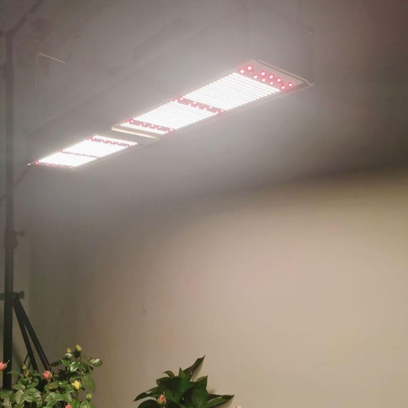 320W 640W Lm301h High Efficacy Grow Lamp High Harvest LED Grow Light for Greenhouse Lighting