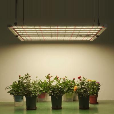 Indoor Growing Light Full Spectrum 640watt LED Grow Lights for Medical Weeds