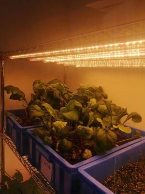 T8 Double Row Red and Blue Ratio Greenhouse Fruits Indoor Plants and Flower 36W LED Grow Light Tube Lamp