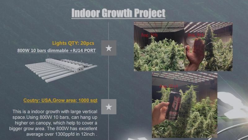 Lumin 600W Grow LED Light for Veg Blooming Fruiting Hydroponics Lm301h LEDs