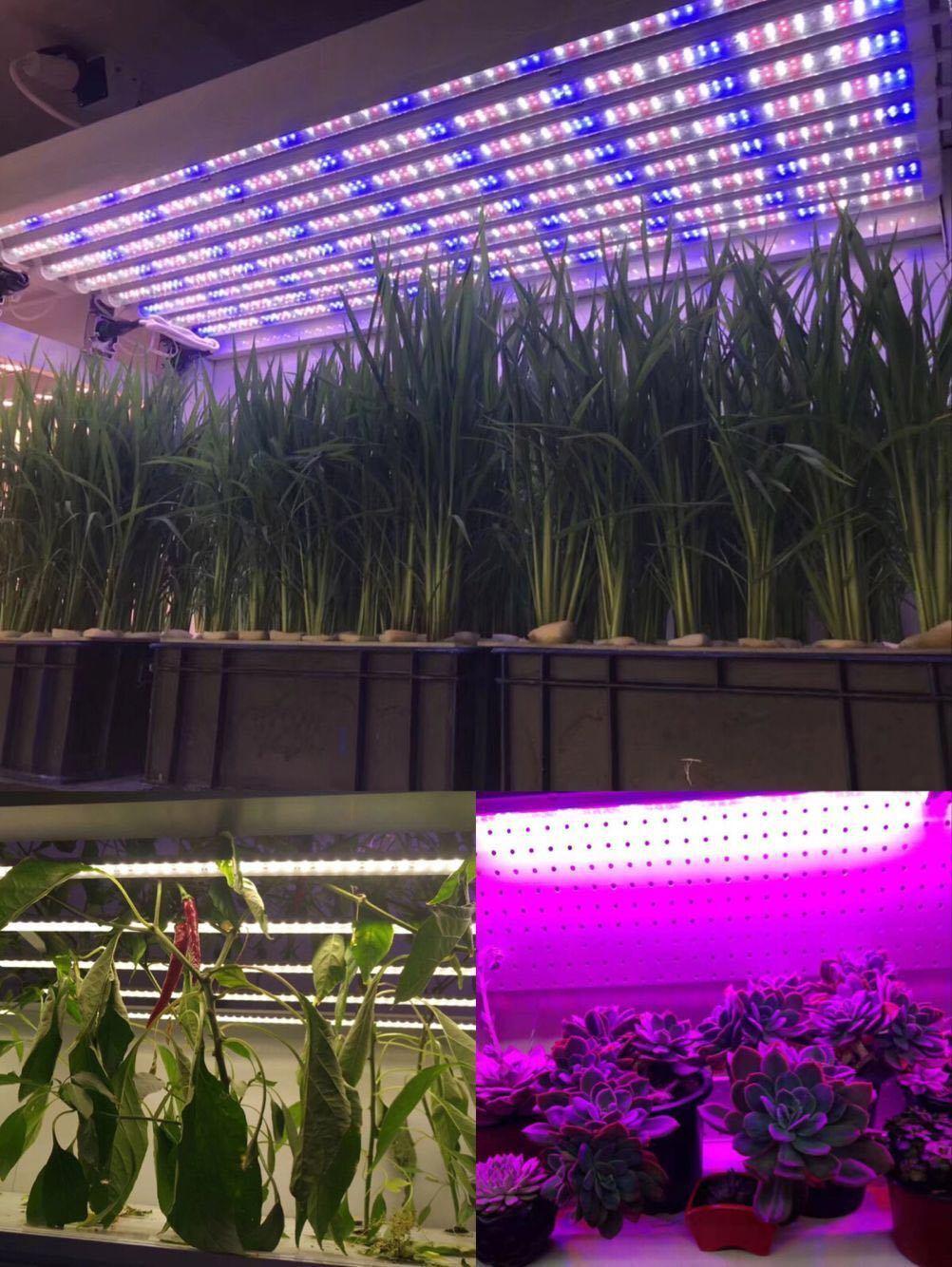 ETL Listed 24W No Fan High Quality Full Spectrum Hydroponic Greenhouse Strip Bar LED Grow Light for Microgreens
