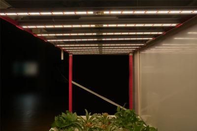 Hot Sales 1000W LED Grow Light Foldable 1350ppfd LED Lighting Indoor Vertical Farm