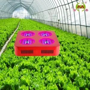 6 Band 200W Grow LED Light (HM-G-4x50W01)