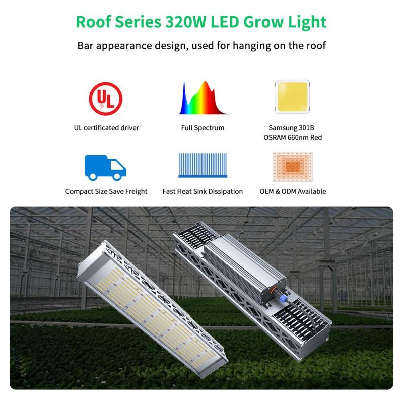 Commercial Horticulture 320W Shenzhen LED Grow Light for Veg Flowering