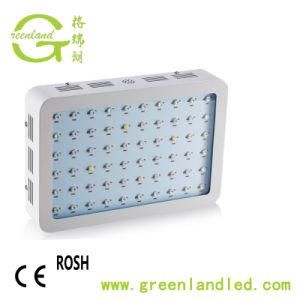 Greenhouses Square Indoor 300W LED Grow Light for Plants