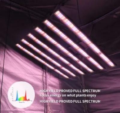 IP65 Waterproof Full Spectrum LED Grow Light for Commerical Horticulture and Medical Plants