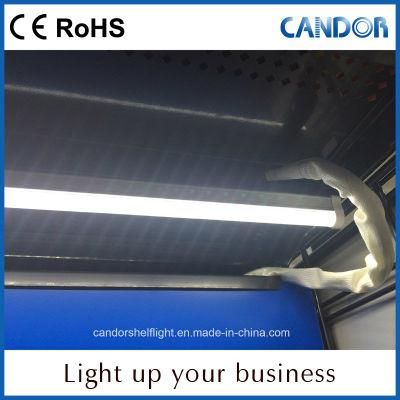 Mutifunctional High Lumen Indoor LED Light Produced by Professional Manufacturer