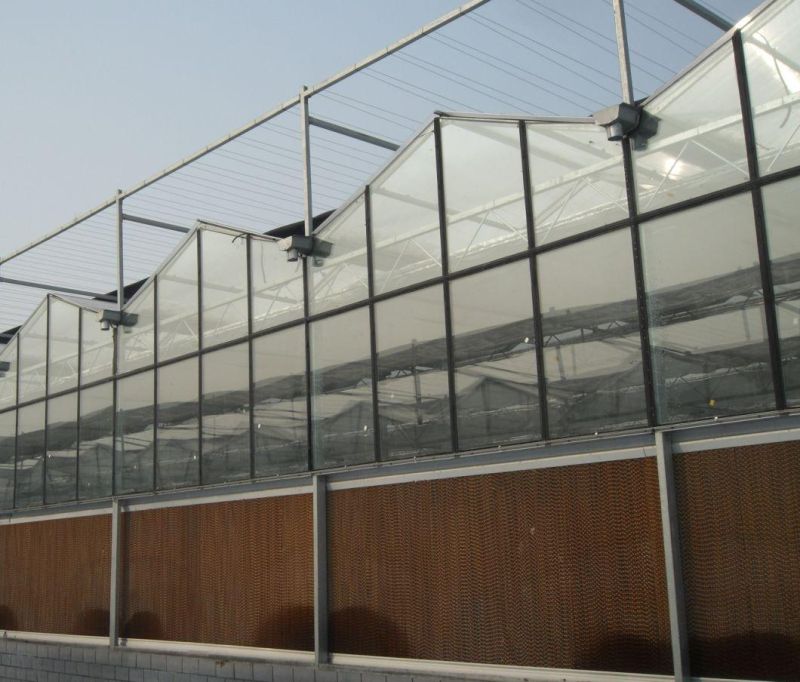 Fixed Greenhouse LED Grow Light for Vegetables