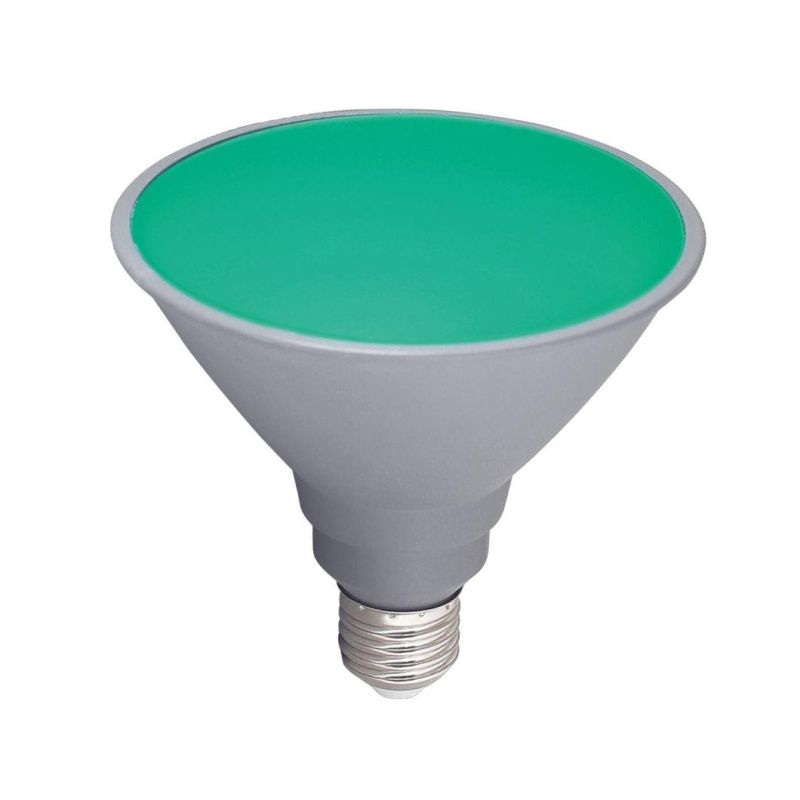 Smart Bulb PAR38 25000f Life Span Green LED PAR Light