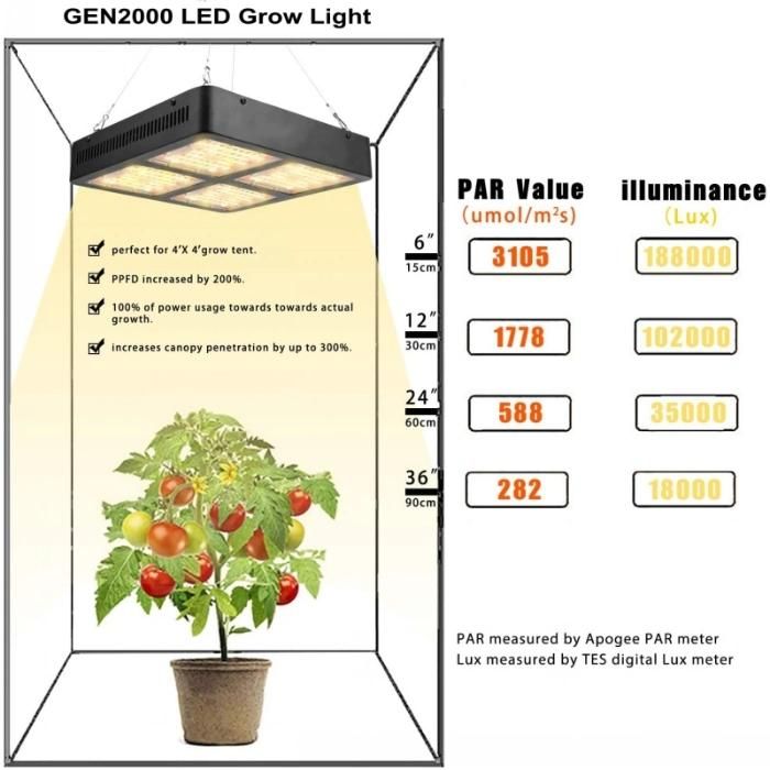 3 Years Warranty Daisy Chain Plant 2000W LED Grow Light