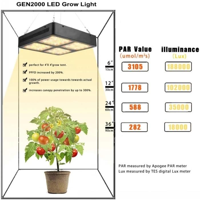 3 Years Warranty Daisy Chain Plant 2000W LED Grow Light