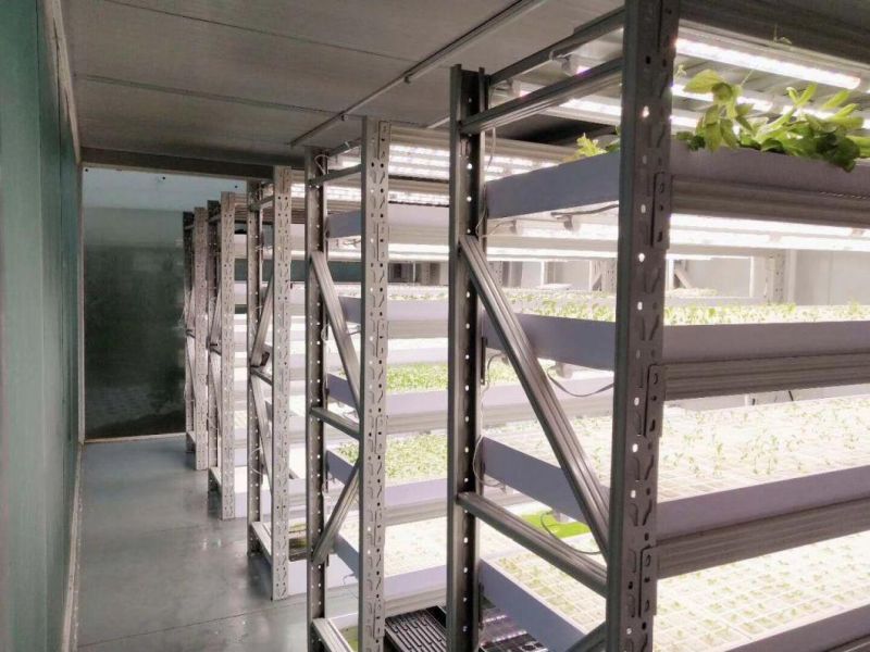 Agricultural LED Grow Lights LED Grow Bar System