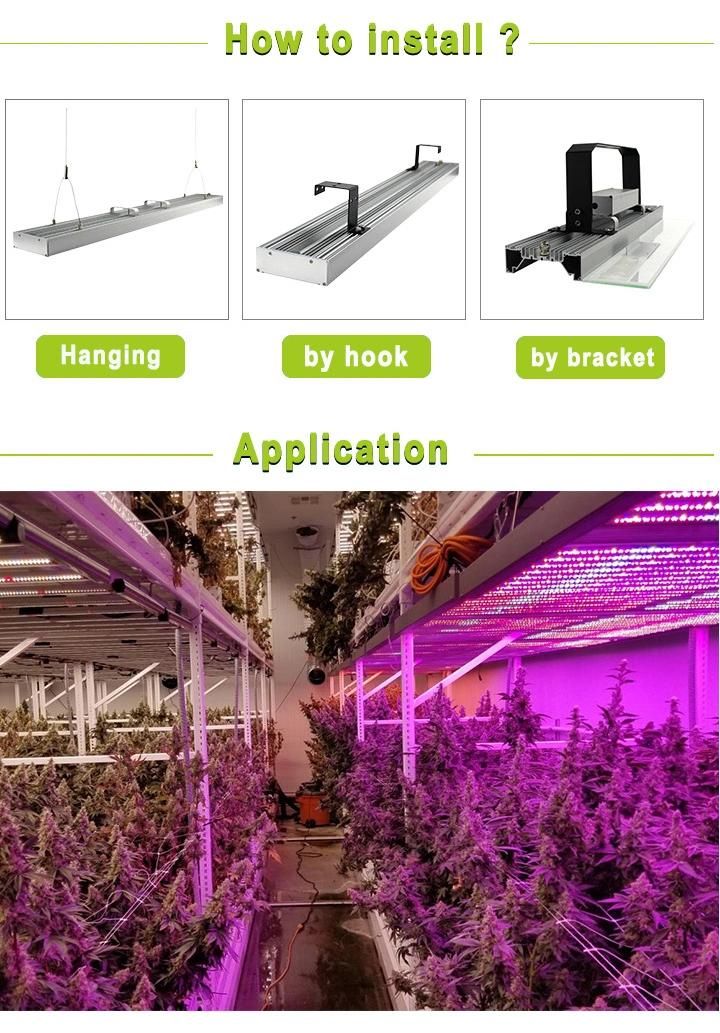 Manufacturer of Full Spectrum Waterproof IP54 LED Plant Grow Light