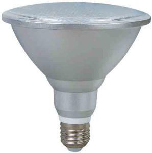 LED Lamp 10W 806lm 2700k-6500k 30000hours SMD PAR38