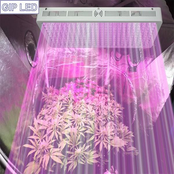 300W-1200W Greenhouse/Medical Plants LED Grow Lights for Wholesales