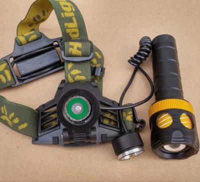 Dual Purpose Headlamp CREE T6 2000lm Rechargeable LED Torch Flashlight Headlight