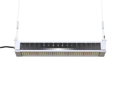 Ilummini 320W Grow Light LED Strip for Mushroom Greenhouse