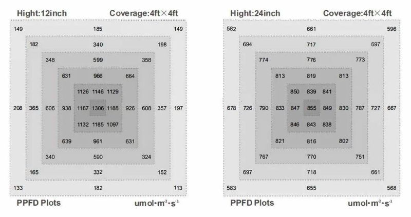 LED Plant Growing Lighting High Power LED Grow Light 600W