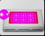 55x3w LED Grow Light