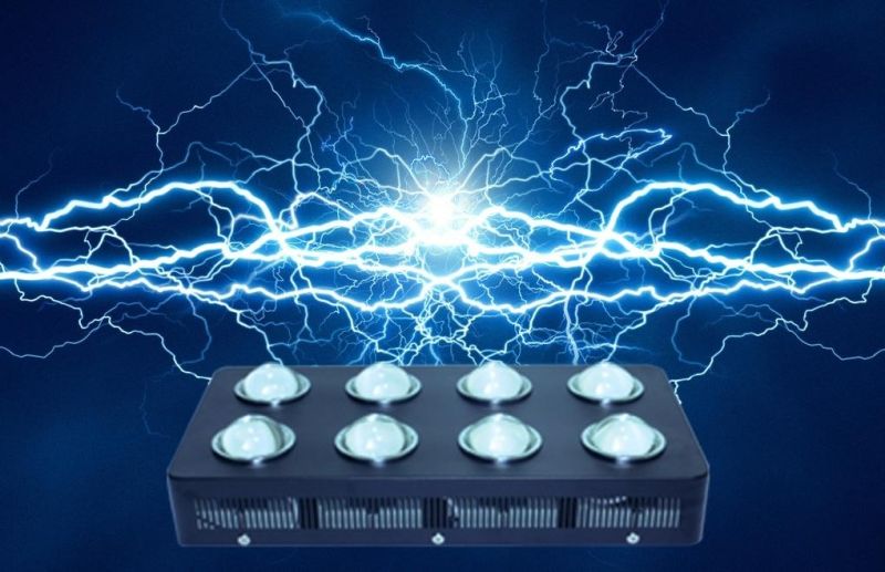 Greenhouse Advanced LED Grow Light for Distribution