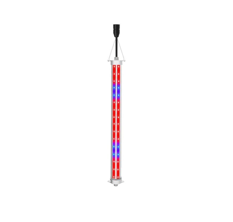 Hydroponics Plant Greenpower Red Blue Bar Linear2.8 Umol/J Interlighting 100W LED Inter Light Grow Light for Fruit and Flower