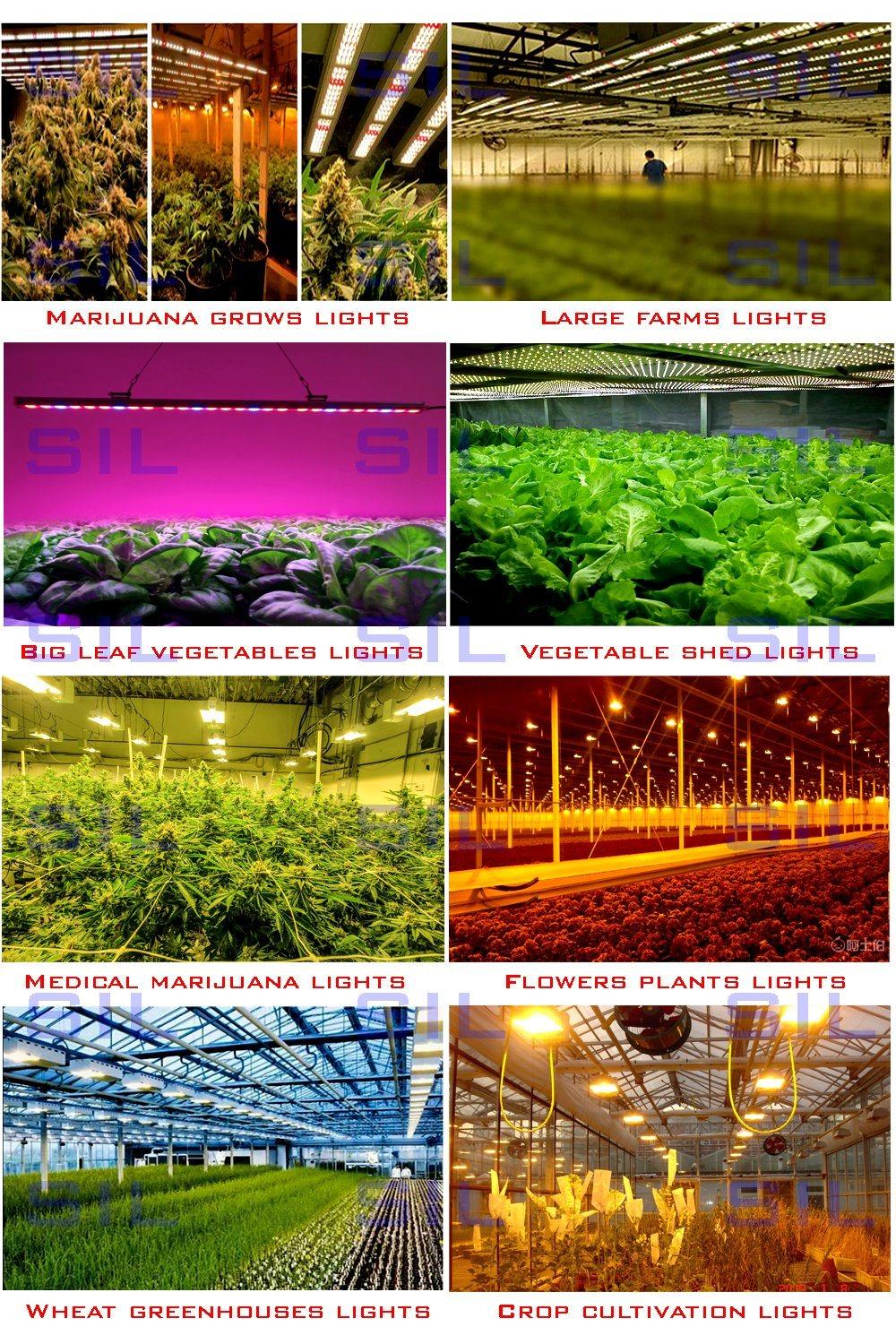 Plant Luminaire 600W 720W 800W 960W 1200wled Grow Light 3200K-3400K Full Spectrum with 660nm 740nm Red T Bar Type Grow Lamp Plant Luminaire