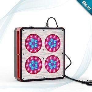 Polo 4 LED Grow Lights Best for Your Indoor Planting