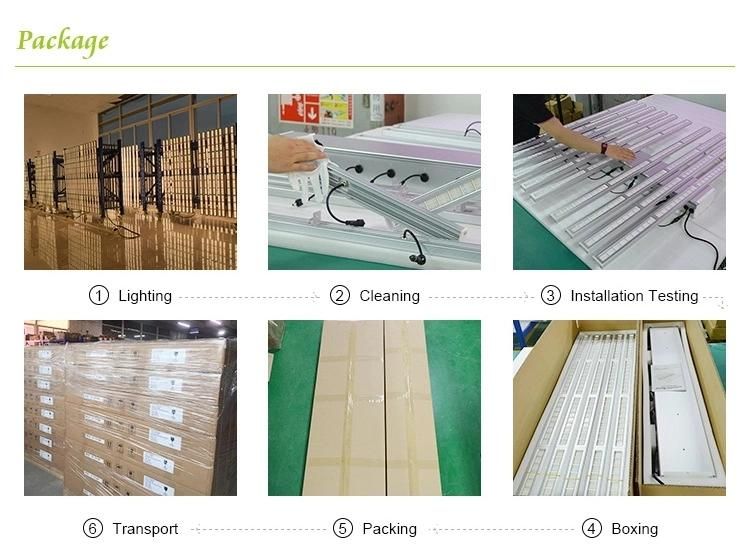 High Ppf Efficacy Samsung Lm301b Lm301h 2X4 Feet 480W 640W 800W 1000W LED Grow Light