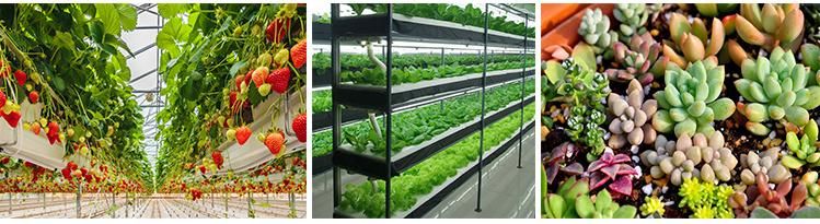 Advanced Platinum Series LED Light Growing Plants 600watt Indoor