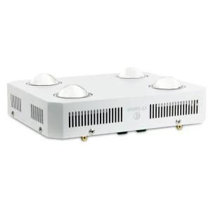 600W COB LED Grow Light 3500K Warm White Full Spectrum Grow Light for Indoor Plants
