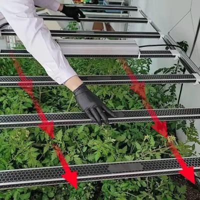 Hydroponic White Greenhouse Dimmable Garden Lm301b Indoor Bar Plant Samsung Full Spectrum IR UV Lm301h LED Grow Light