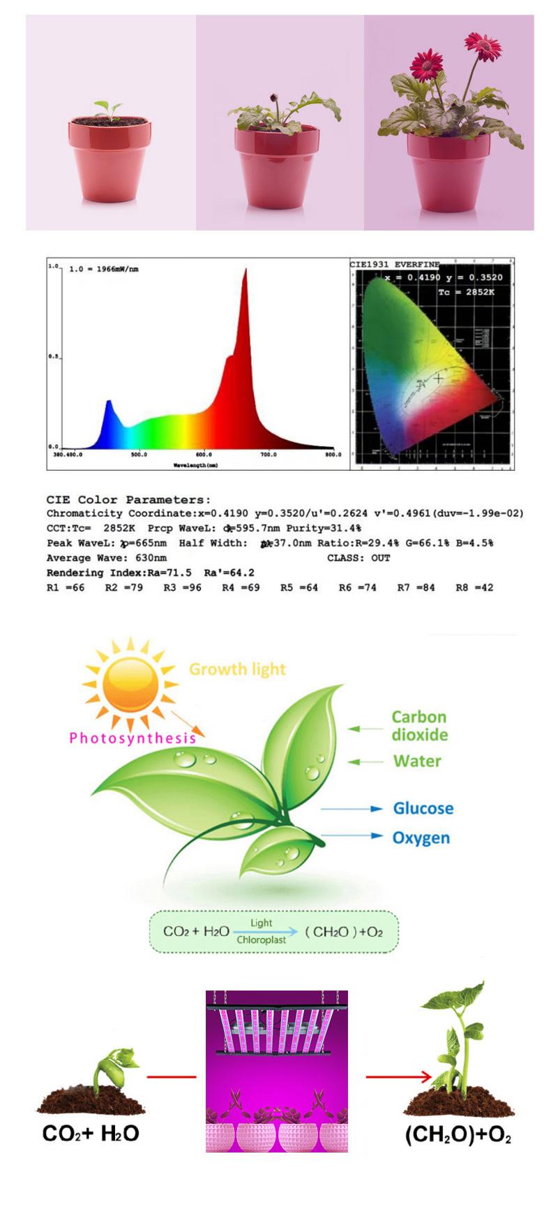 660nm LED Grow Light Hydroponic Spectrum Vegetables Dimming 600W Waterproof LED Grow Light Strips IP65