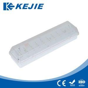 2021 Hot Sale LED Emergency Bulkhead LED Light Emergency Light Fire Emergency Light