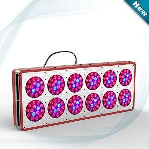 Polo 12 LED Grow Lights Best for Your Indoor Planting