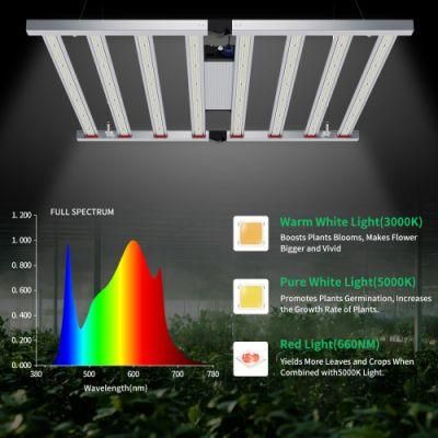 Shenzhen LED Grow Lights Full Spectrum LED Grow Light Samsung Lm301b Lm301h for Horticulture Agriculture