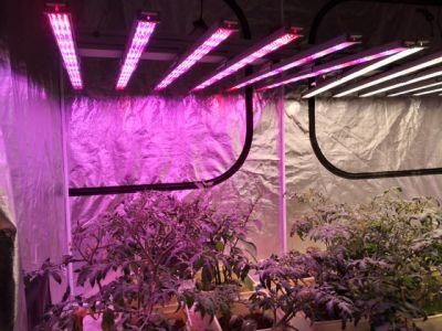 2020 ATA Generation Full Spectrum LED Grow Light 1000W High Quality Grow Indoor Grow Tent Complete Kit LED for Medical Plants