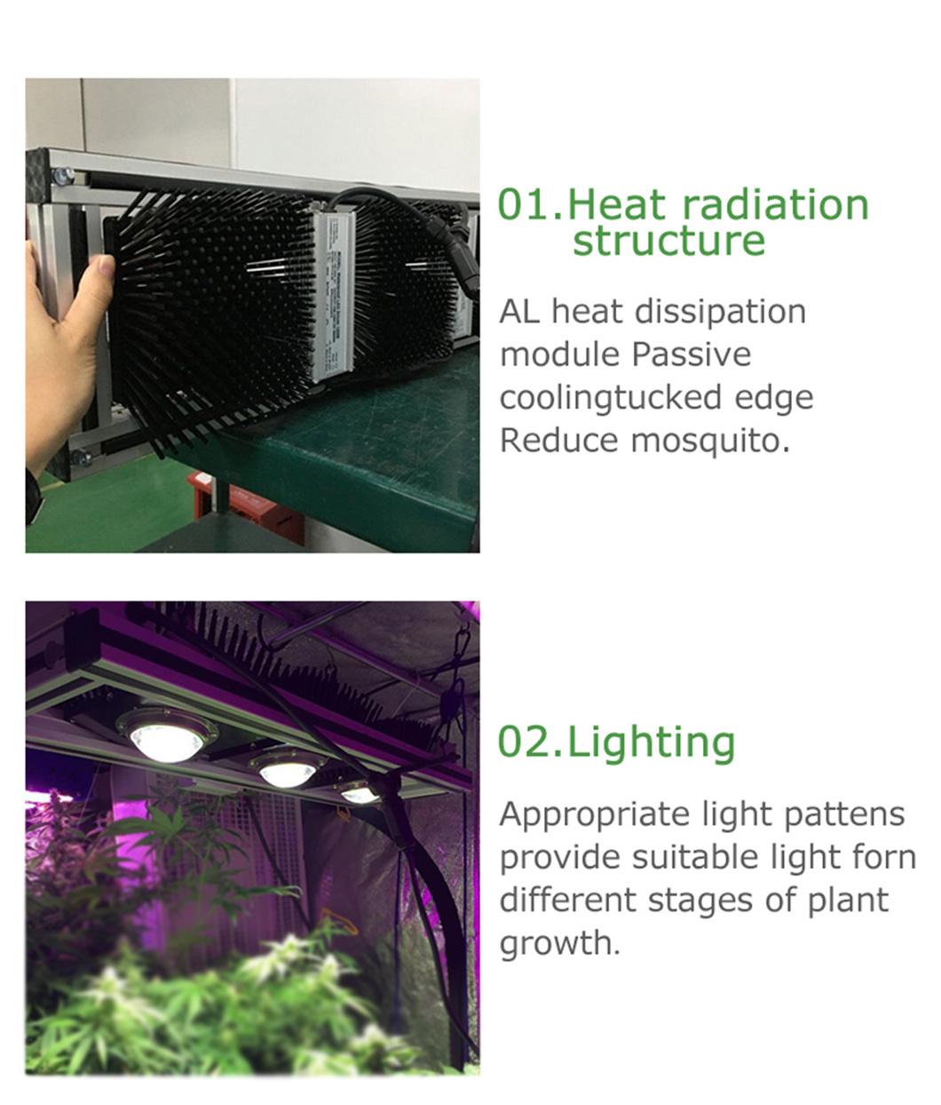 Higher Efficacy Full Spectrum 450W COB LED Grow Light for Grow Tent