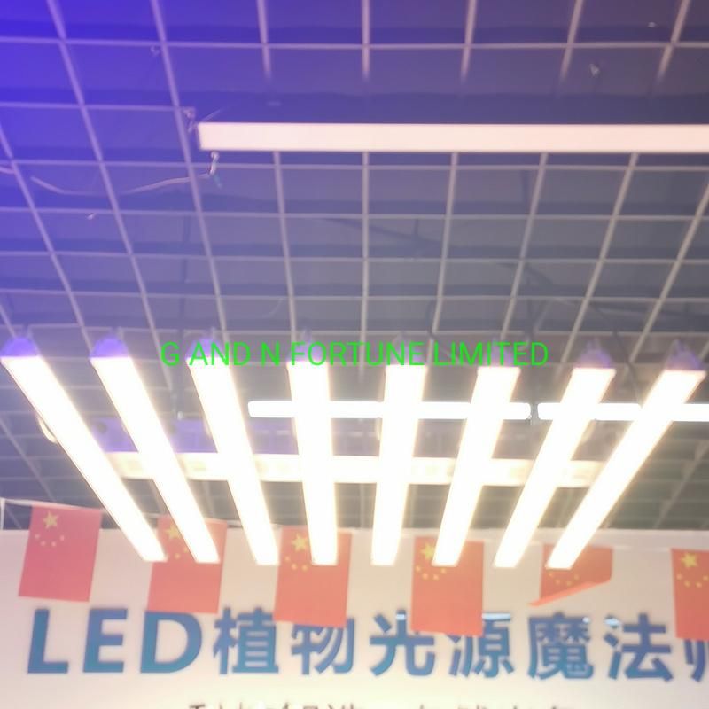 Greenhouse High Efficacy 640W Full Spectrum LED Grow Lights