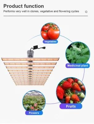 Indoor Plant Growth Strip Lamp Bar Full Spectrum LED Grow Lamp 1000watt Hydroponic Horticulture