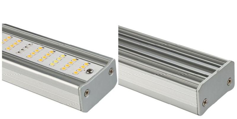 Wholesale Full Spectrum 600W Samsung Lm301h & Osram High Power LED Grow Light for Plants Tube Lighting Lamp with UL